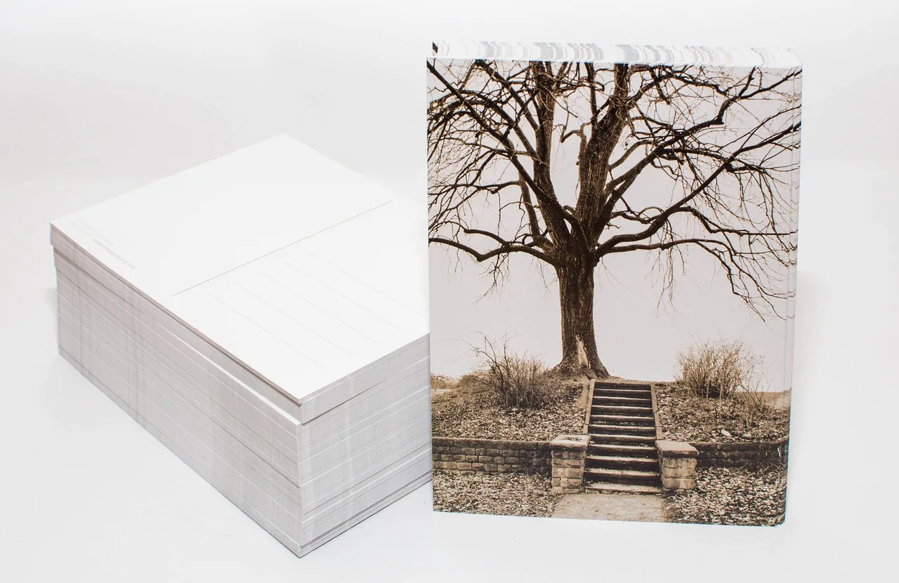 postcard, photo postcard, printed matter, photo, printing house, postcard, printed matter, printed matter, printed matter, printing house, printing house, printing house, printing house, printing house